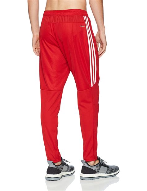 Amazon.com: Adidas Training Pants